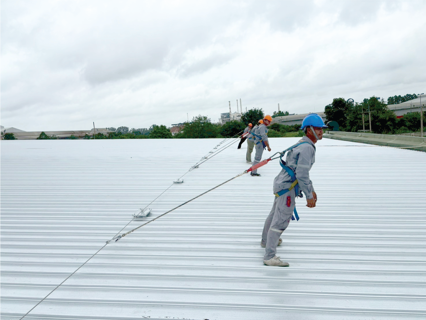 Lifelineบนหลังคา และ Guard rail กันตก คุณภาพสูง ใช้งานปลอดภัย มั่นใจ 100%