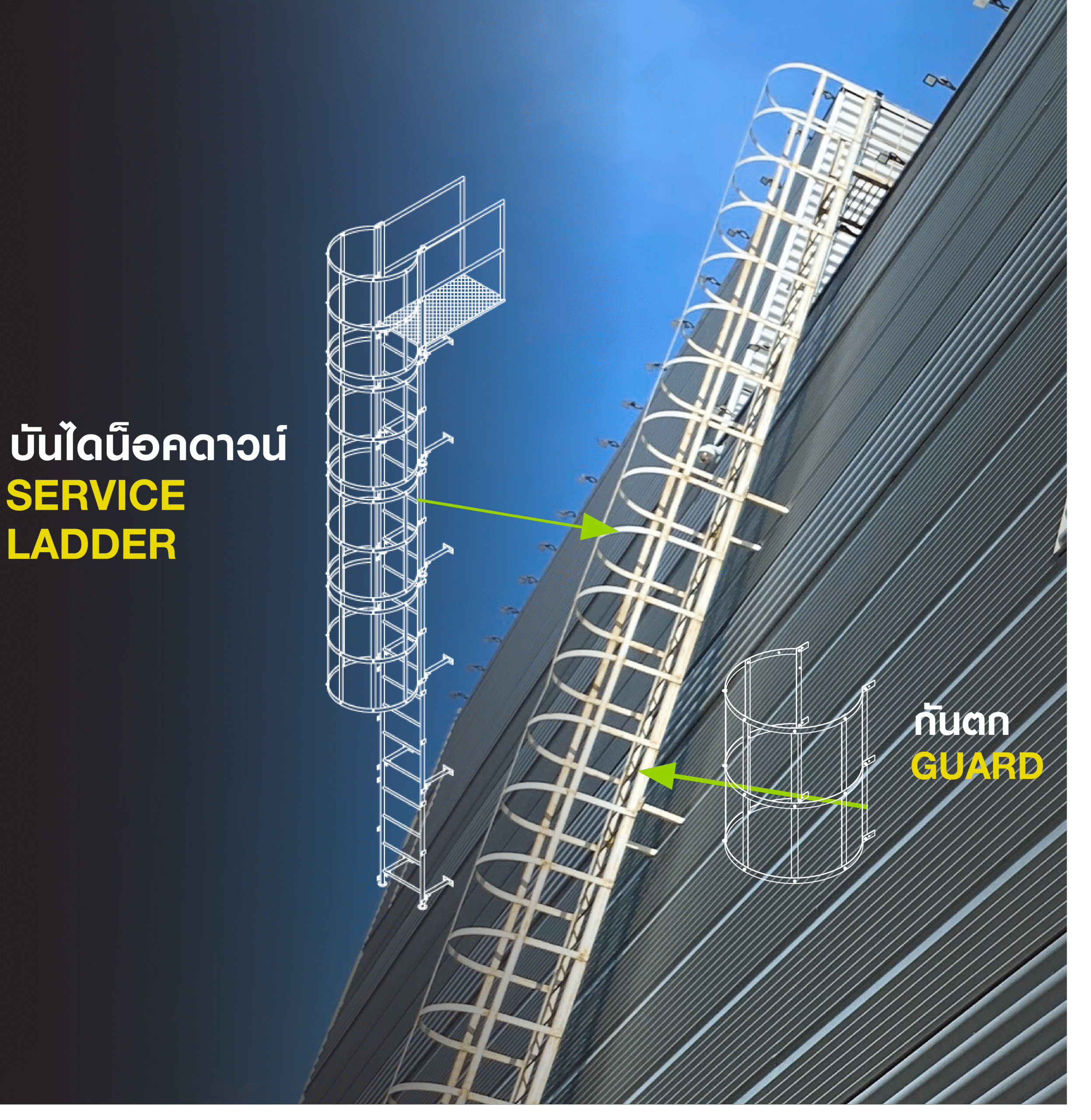 บันไดลิง Knock Down พร้อม Guard กันตก สำหรับงานโรงงานและอุตสาหกรรม