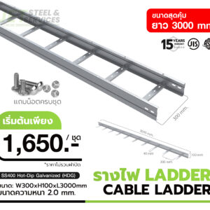 CABLE LADDER – รางบันไดเดินสายไฟ H100 × W300 × L3000 (2.0 mm)