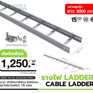 CABLE LADDER – รางบันไดเดินสายไฟ H100 × W300 × L3000 (1.6 mm)